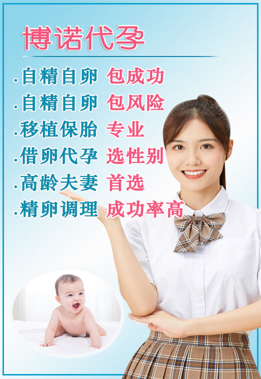 深圳借卵