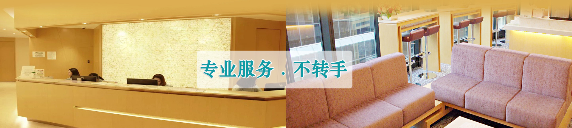 借卵联系
