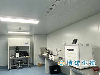 深圳借卵试管医院 - 手术实验室