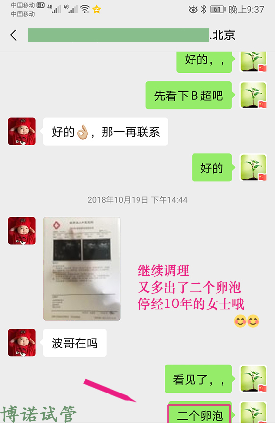 深圳借卵公司.jpg