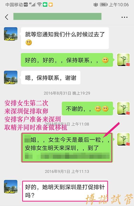 深圳借卵成功率.jpg