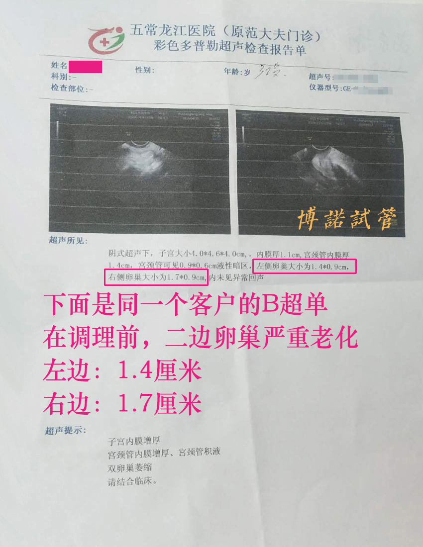 深圳借卵成功率.jpg