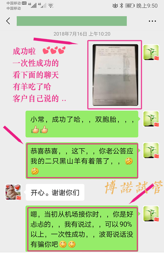 深圳借卵成功率.jpg